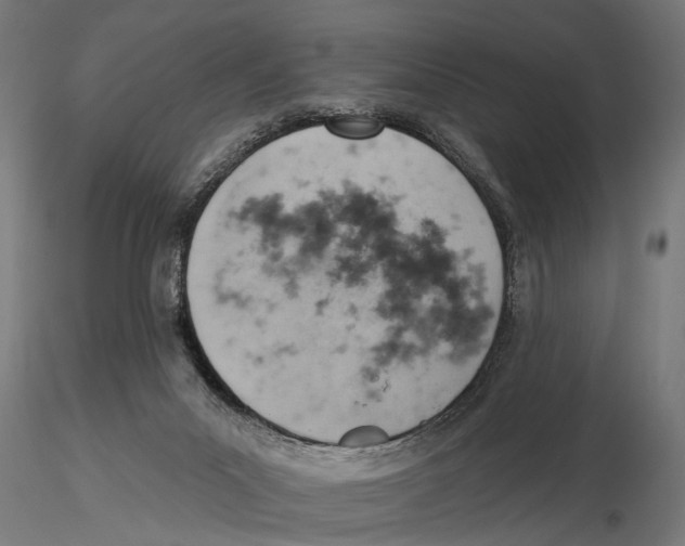 X0000115590023200912081100