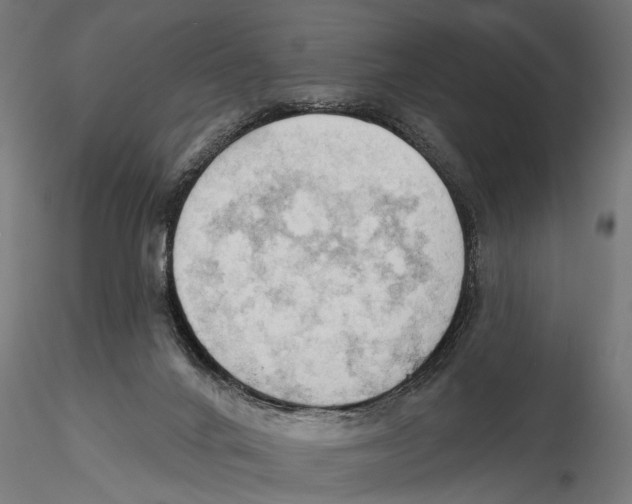 X0000115590024200912081100
