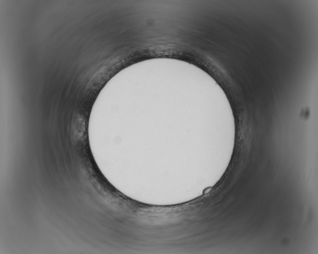 X0000115590025200912081100
