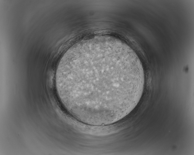 X0000115590026200912081100