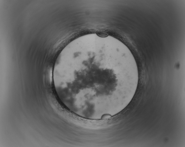 X0000115590027200912081100