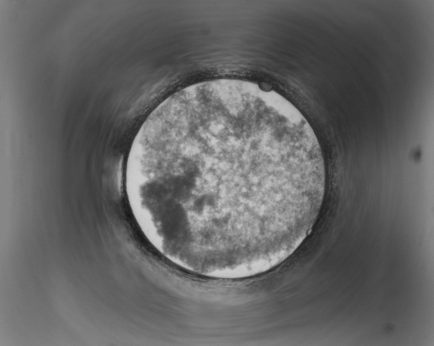 X0000115590028200912081100