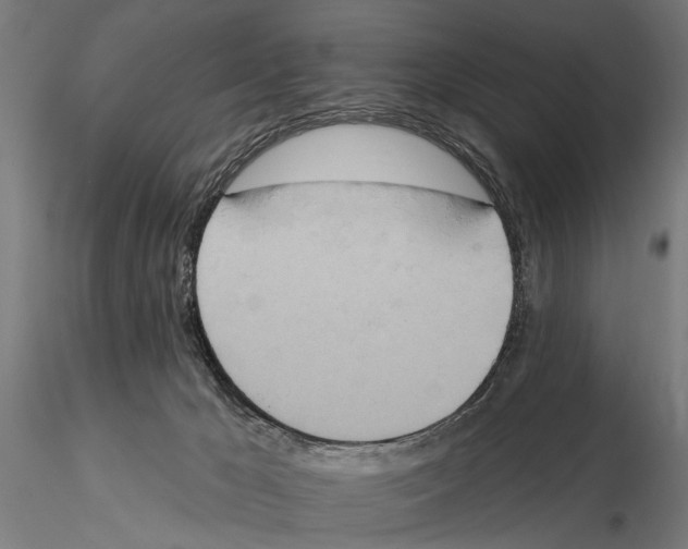 X0000115590029200912081100