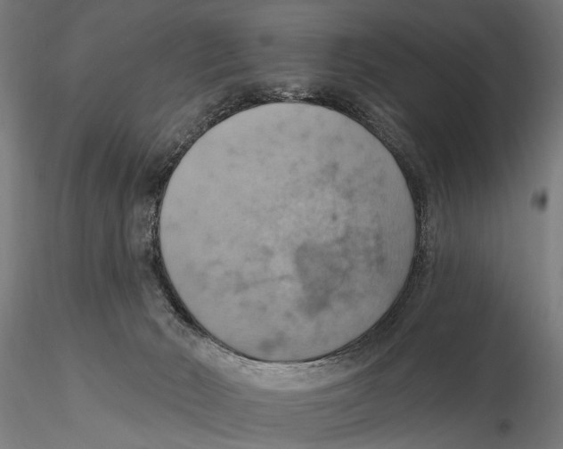 X0000115590030200912081100
