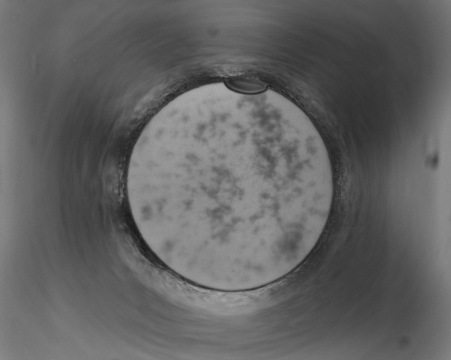 X0000115590031200912081100
