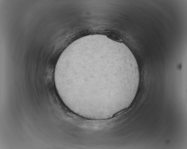 X0000115590033200912081100