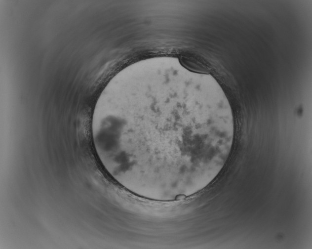 X0000115590035200912081100