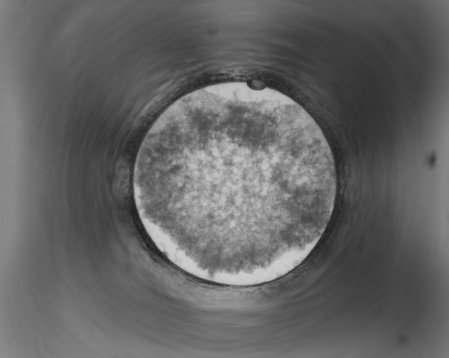 X0000115590036200912081100