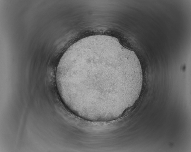 X0000115590037200912081100