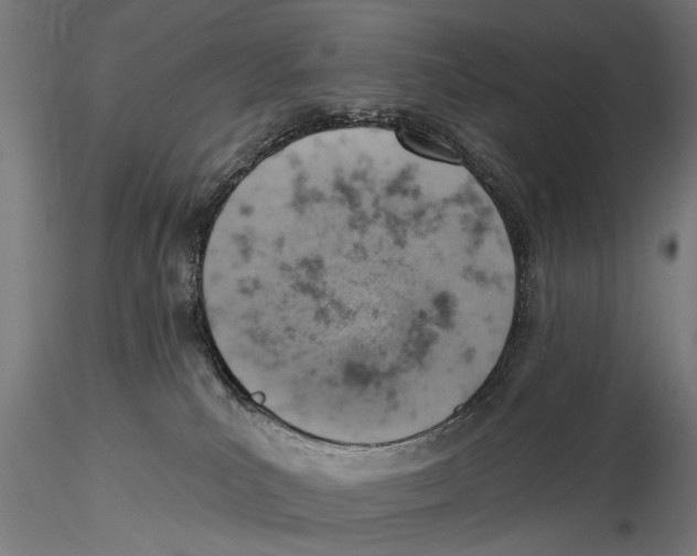 X0000115590039200912081100
