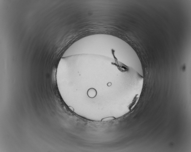 X0000115590041200912081100