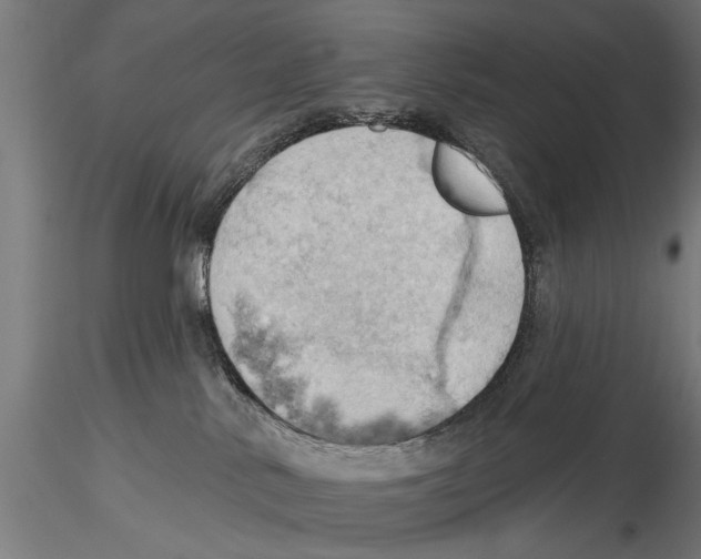 X0000115590042200912081100