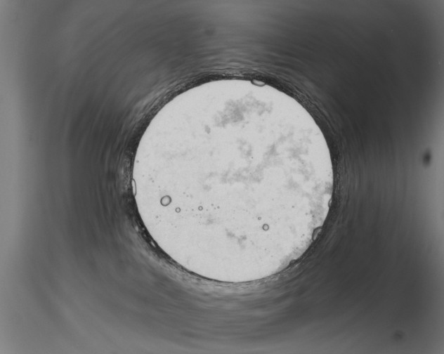 X0000115590043200912081100