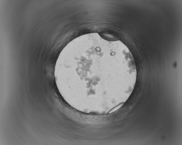 X0000115590044200912081100