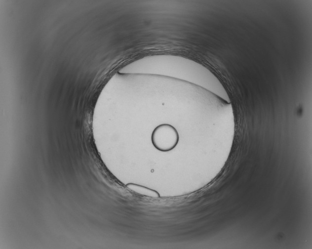 X0000115590045200912081100