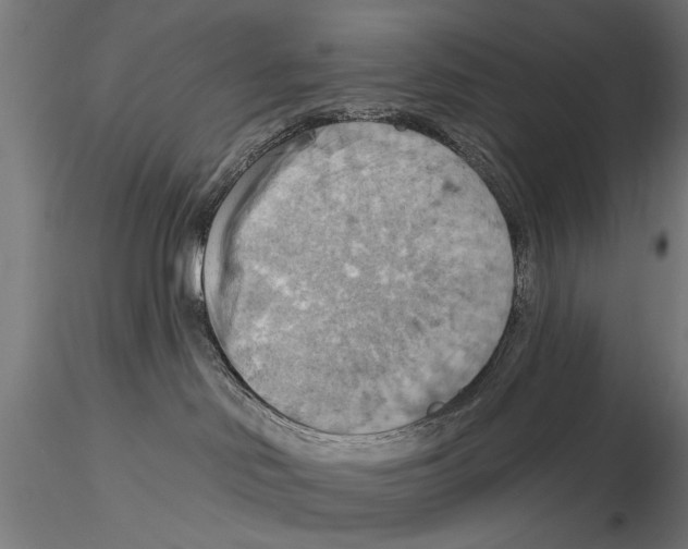 X0000115590046200912081100