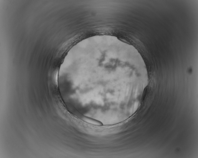X0000115590047200912081100