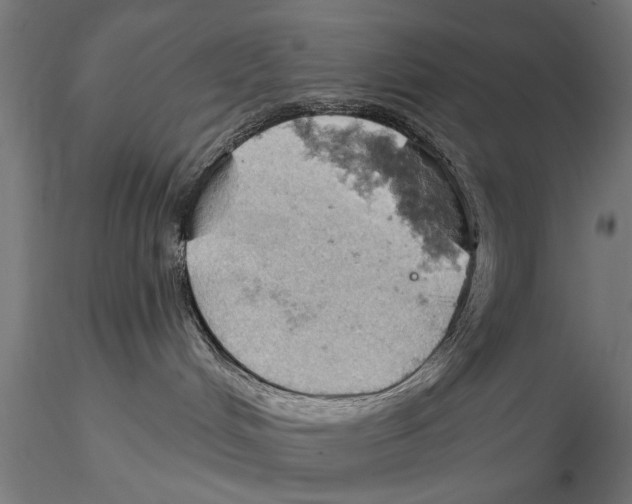 X0000115590048200912081100