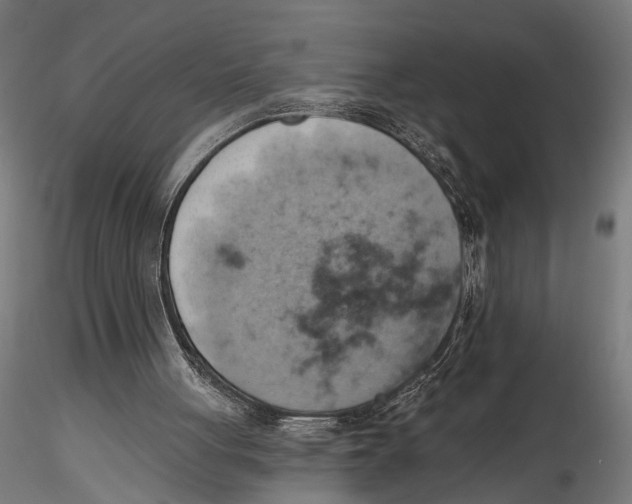X0000115590051200912081059