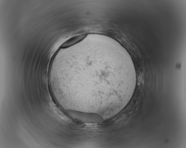 X0000115590052200912081059