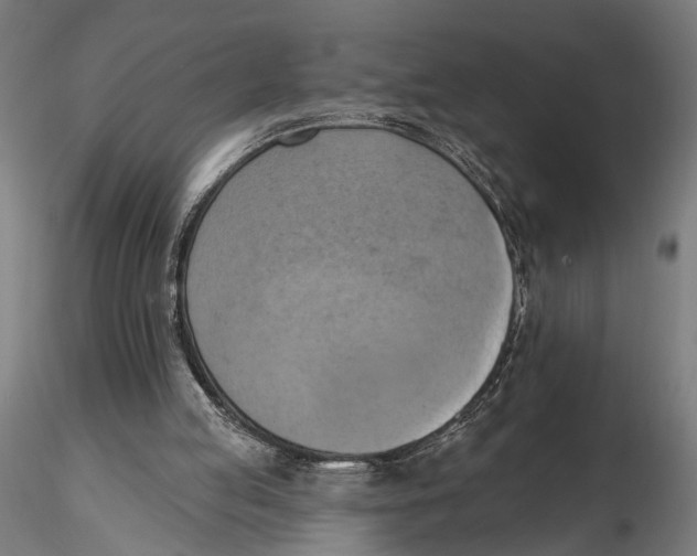 X0000115590053200912081059