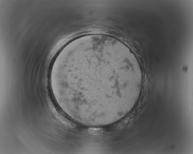 X0000115590055200912081059