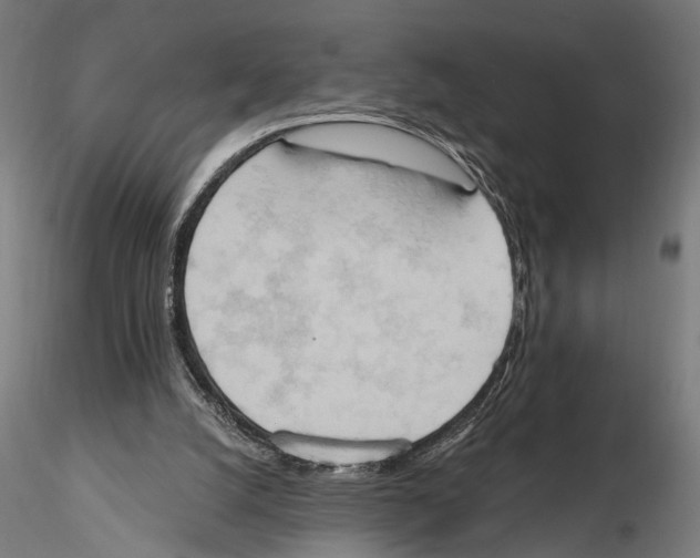 X0000115590056200912081059