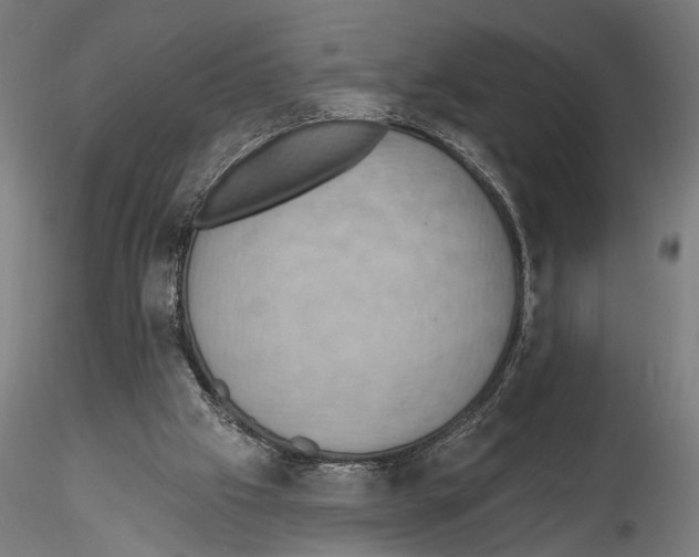 X0000115590057200912081059