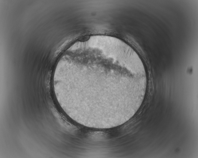 X0000115590058200912081059