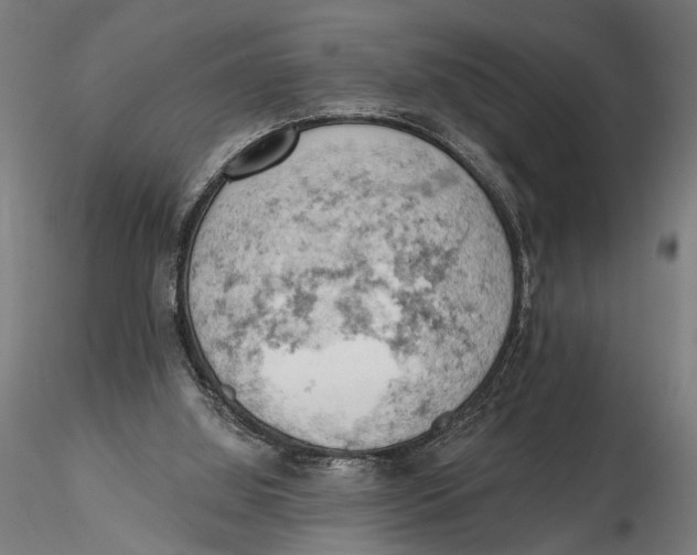 X0000115590060200912081059