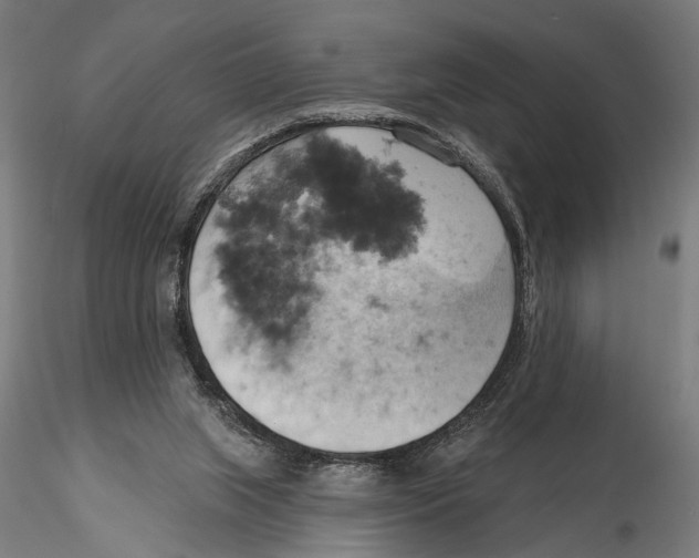 X0000115590063200912081059