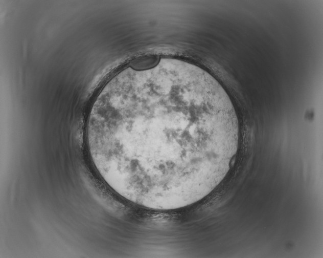 X0000115590064200912081059