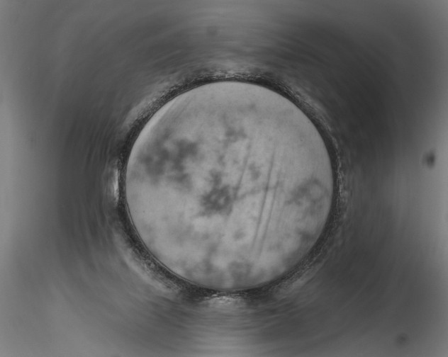 X0000115590067200912081059