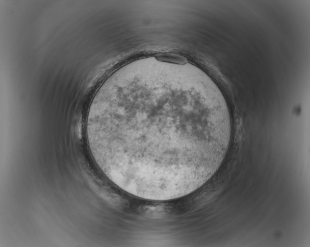 X0000115590068200912081059