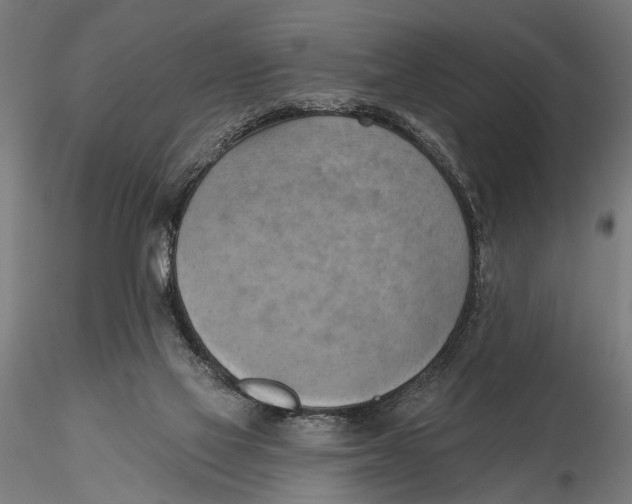 X0000115590069200912081059
