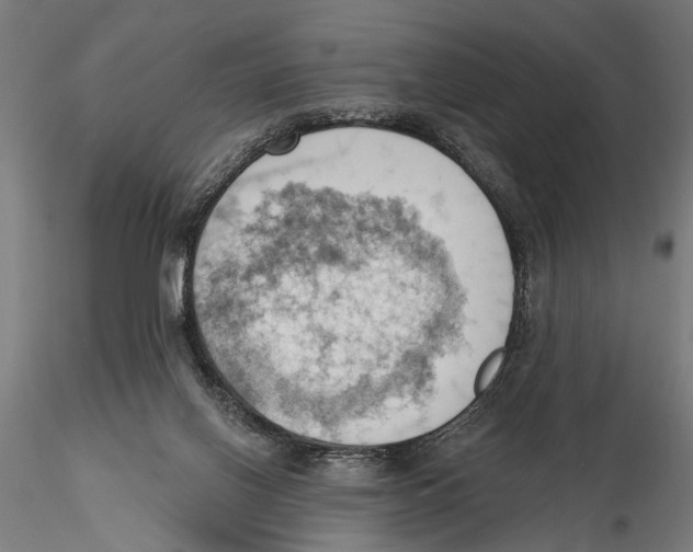 X0000115590070200912081059