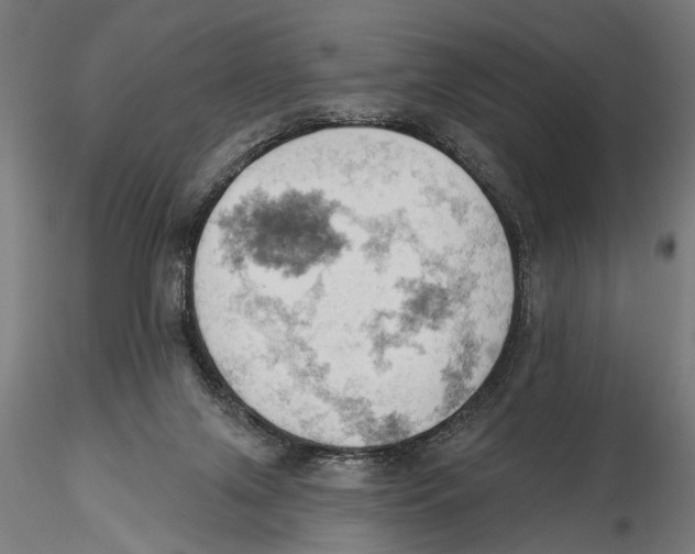 X0000115590071200912081059