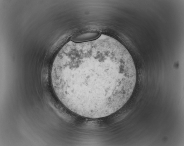 X0000115590072200912081059
