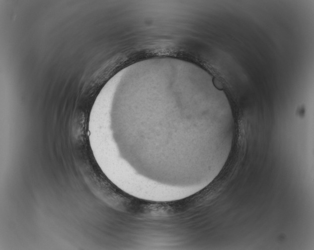 X0000115590073200912081100