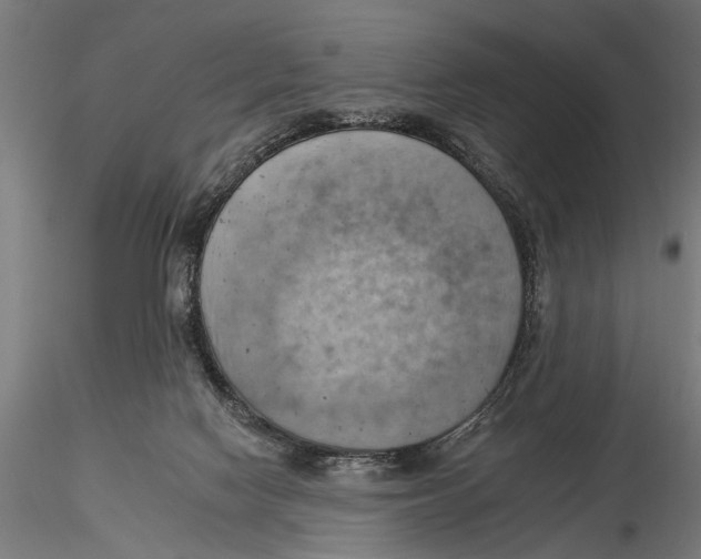 X0000115590074200912081100