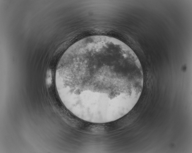 X0000115590075200912081100