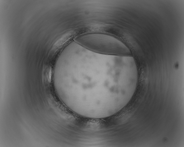 X0000115590076200912081100