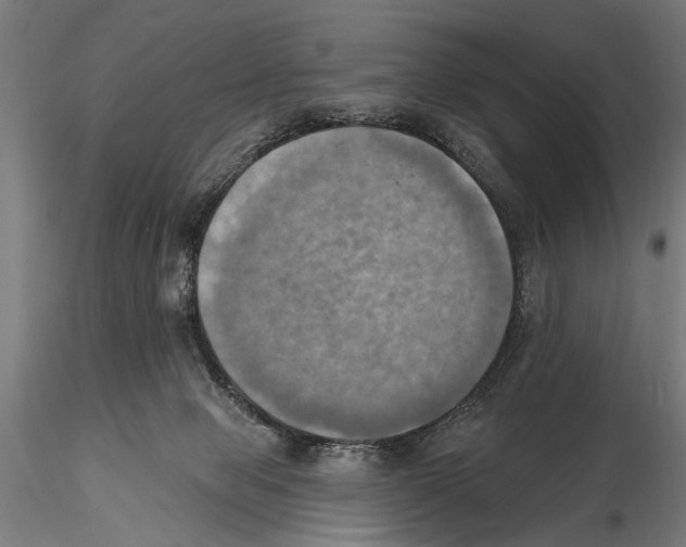 X0000115590077200912081100