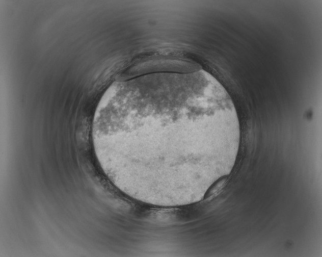 X0000115590078200912081100