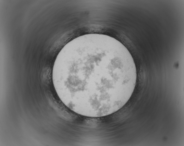 X0000115590079200912081100