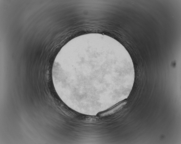 X0000115590080200912081100