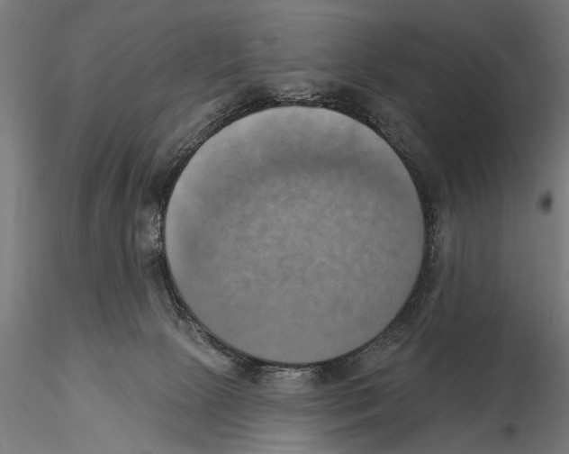X0000115590081200912081100