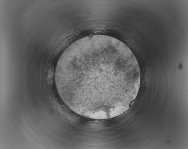 X0000115590082200912081100