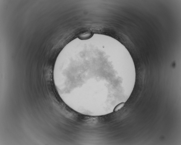 X0000115590083200912081100