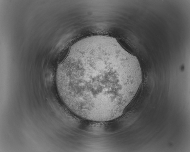 X0000115590084200912081100